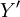 Y^\prime