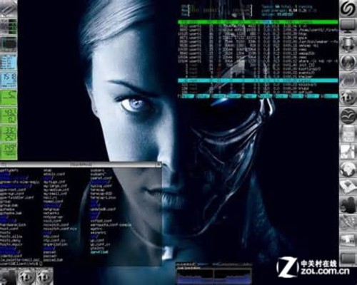 盘点：十大最流行的Linux服务器发行版 