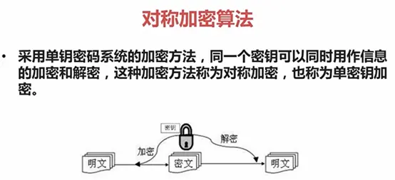 11997621-e43aa88649dac838.png
