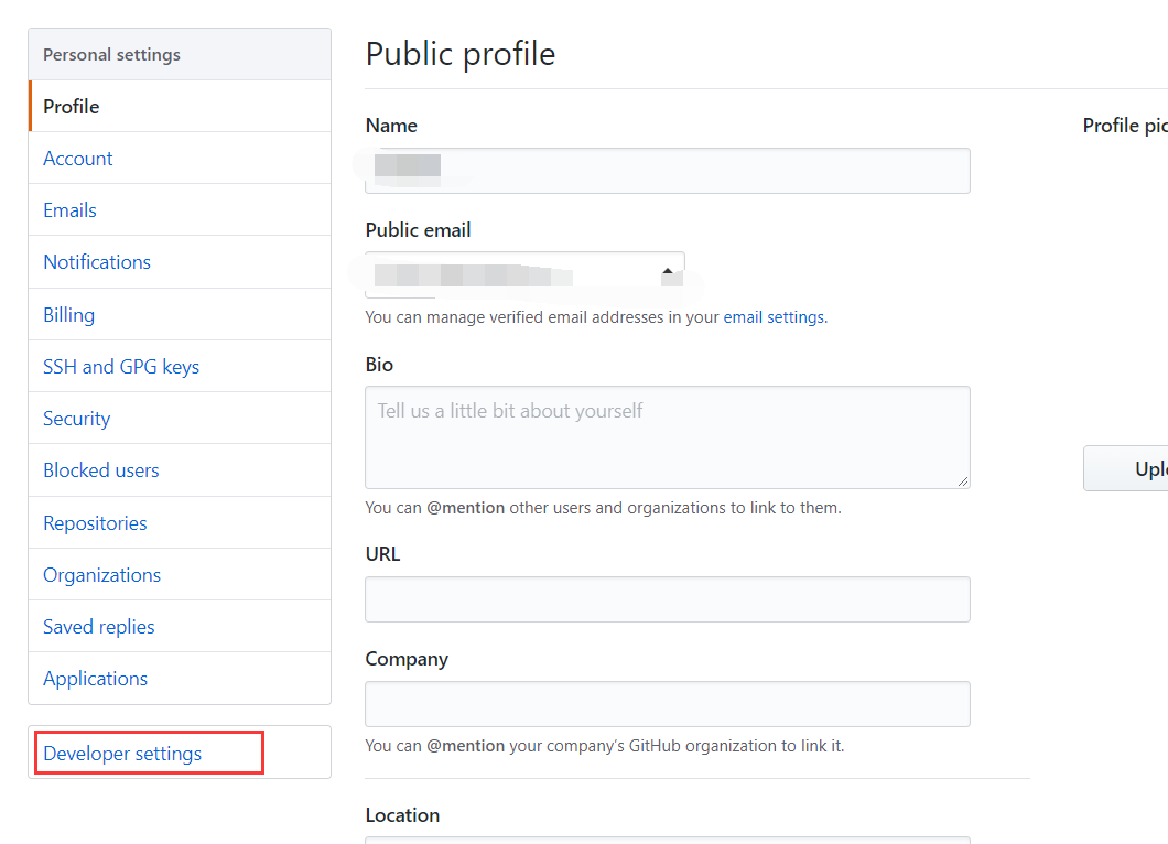 进入页面后，点击"Developer settings"按钮