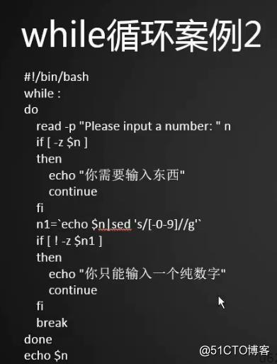 shell3