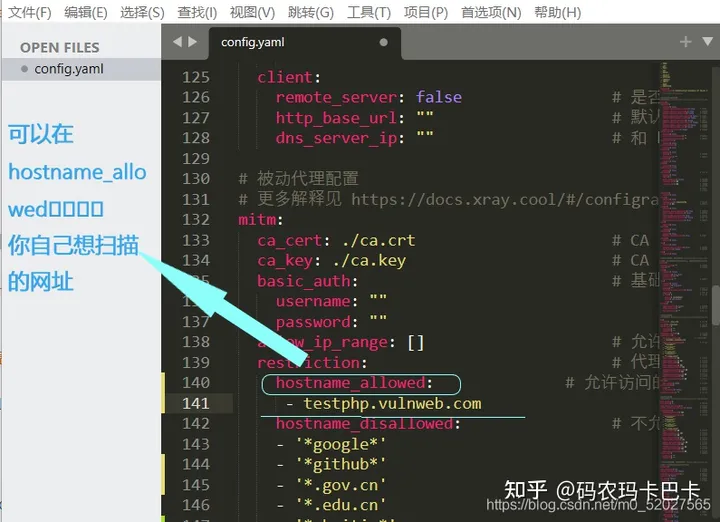 工具Xray的安装，入门的使用方法