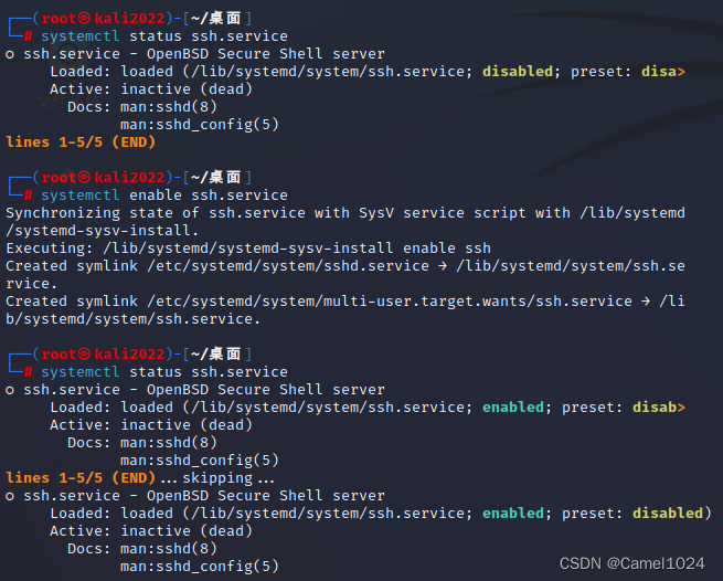 systemctl status name.service