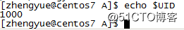 Linux环境变量