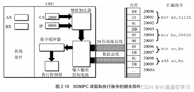 在这里插入图片描述
