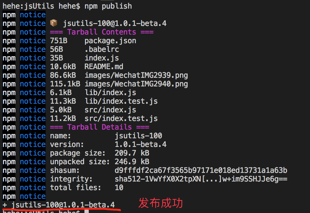 npm publish