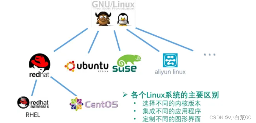 Linux基础知识_ntpdate可以跟域名吗-CSDN博客