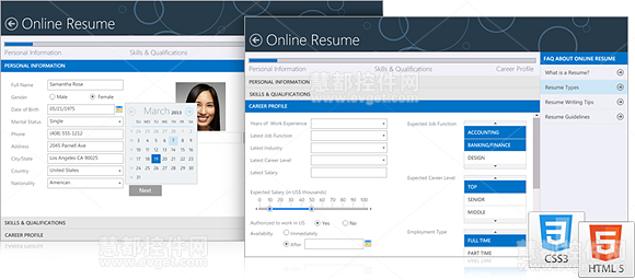 Intersoft webessentials,ASP.net 开发,InterSoft 2013,WebEssentials界面