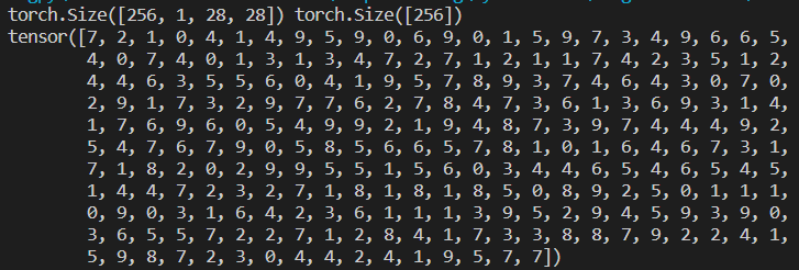 Torch Format 详解torch.size_torchsize的参数-CSDN博客