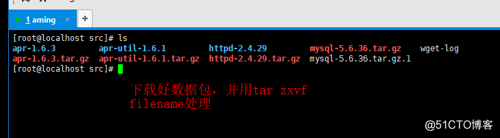11.6 MariaDB安装 11.7/11.8/11.9 Apache安装
