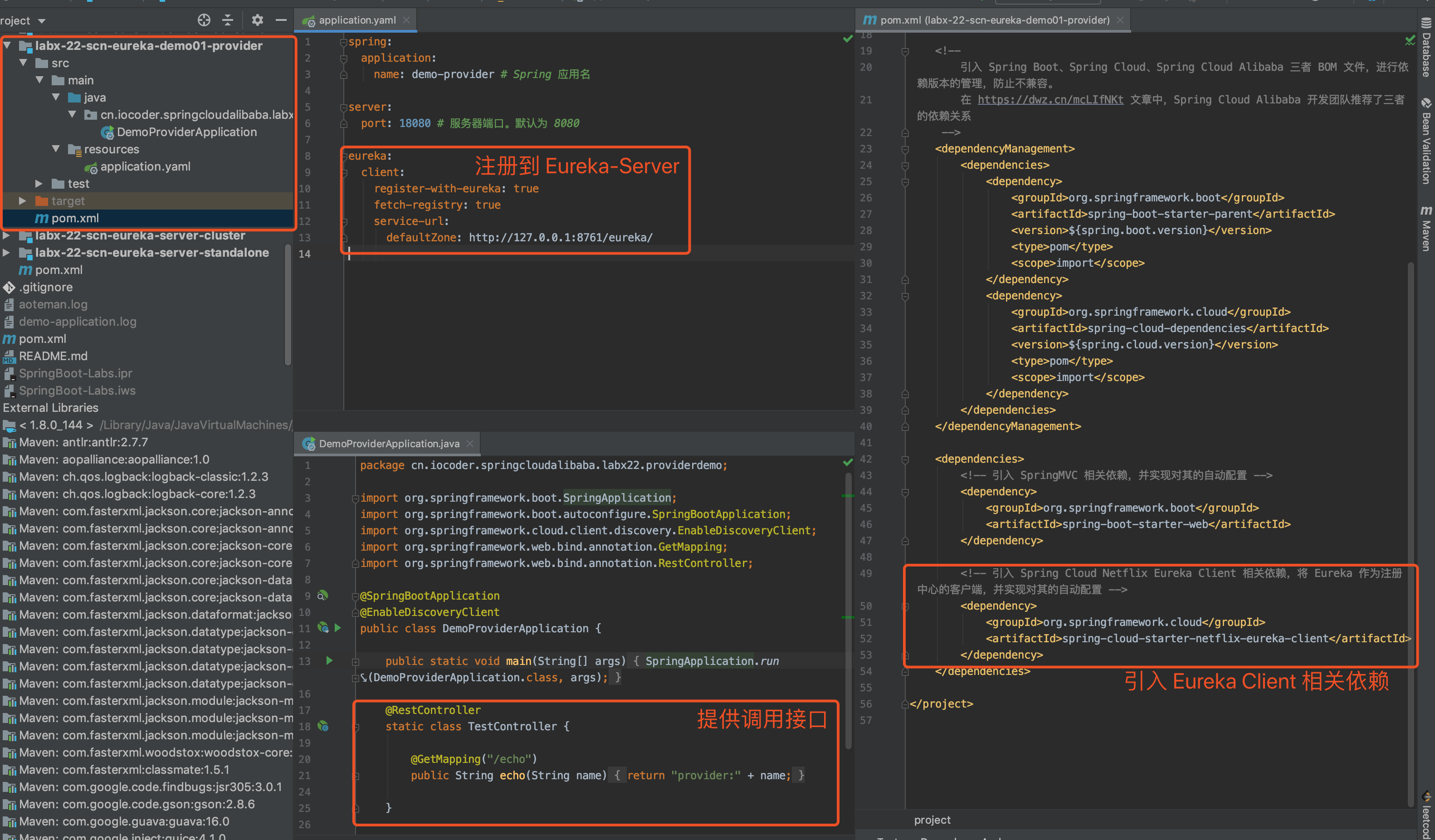 `demo-provider` 项目 