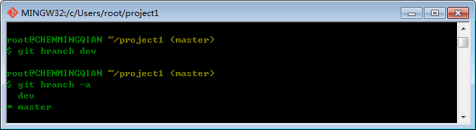 git branch1