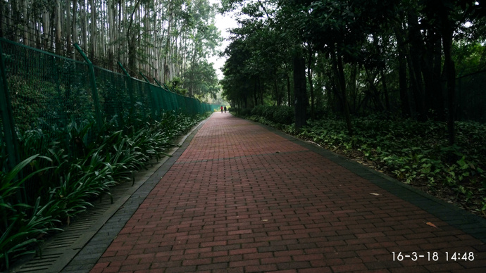 深圳绿道-观澜段-乡村一号