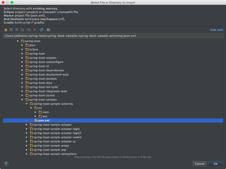 /help/img/idea/2016.3/migration_guide_import_project.png