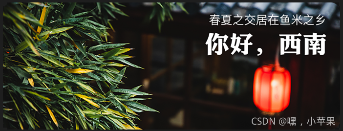 在这里插入图片描述