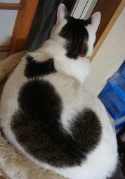 2010031115585076.jpg