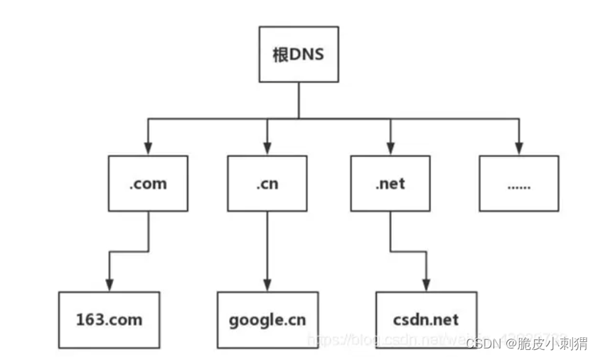 DNS解析过程详解：从域名到IP的转换-CSDN博客