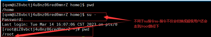 image-20230314161310010