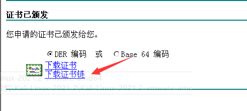 image-20211031144845403