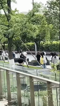 81d1bcc57668316e2773a4ef920d9acc.gif