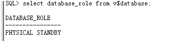 spacer.gif