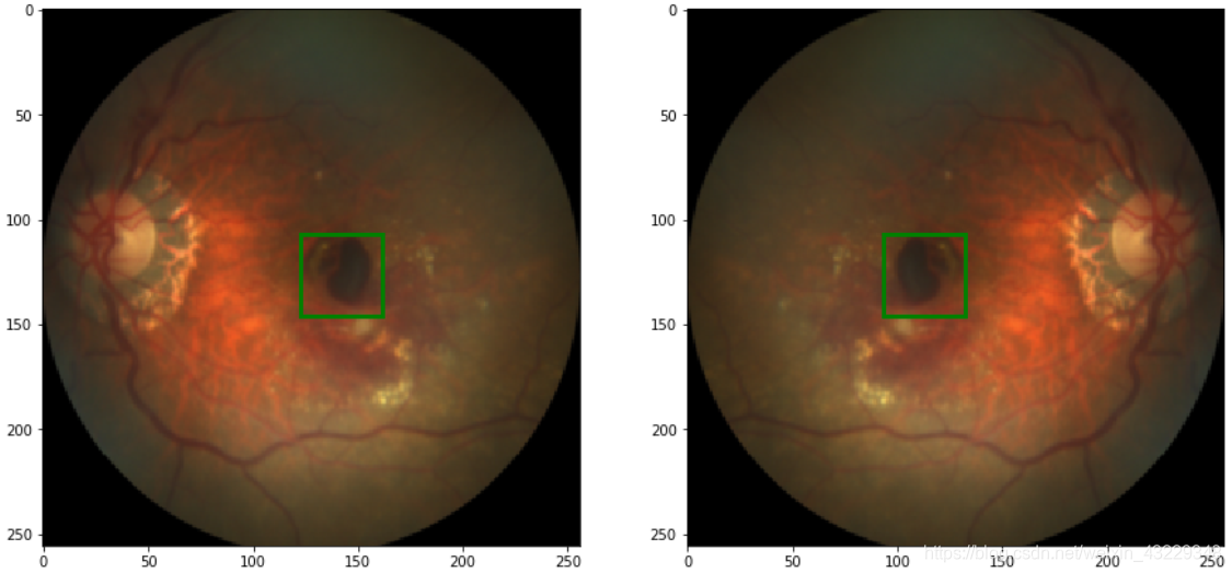 水平翻转前后的图像