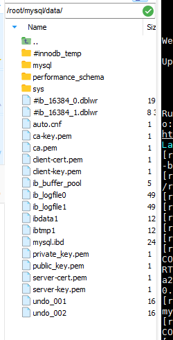 image-20240125104120678