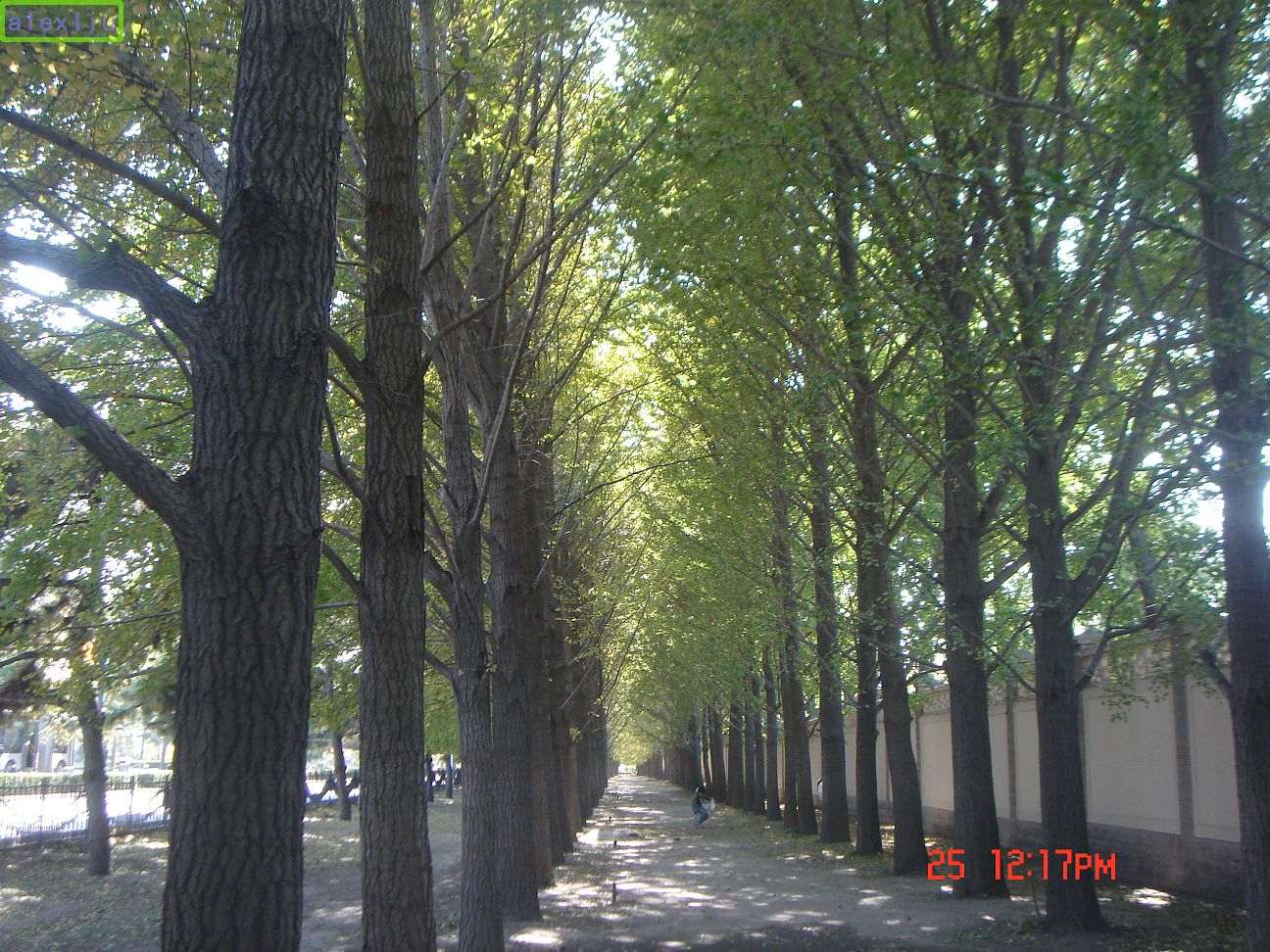 2008102609483740.jpg