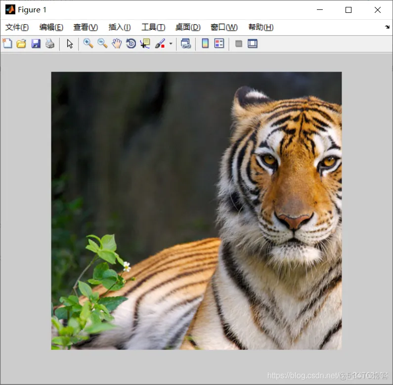 【图像分割】基于蚁群优化模糊聚类的图像分割matlab源码_图像处理_03