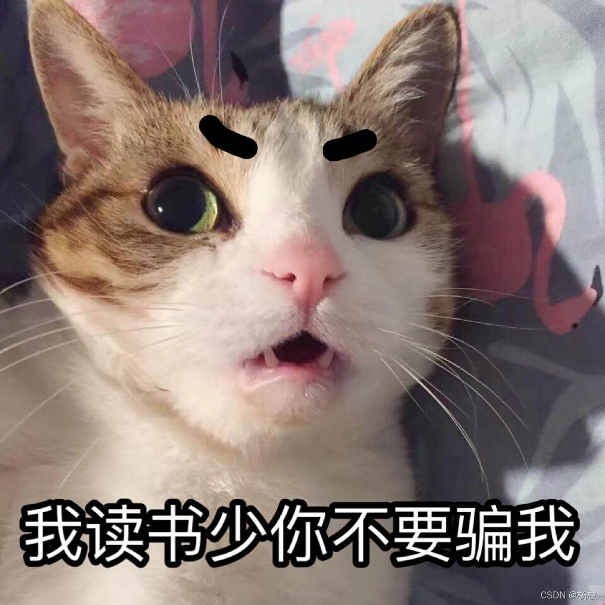 儿豁