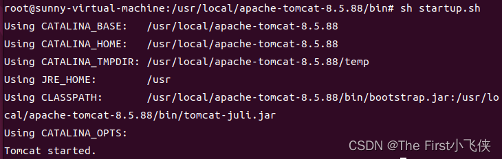 启动tomcat