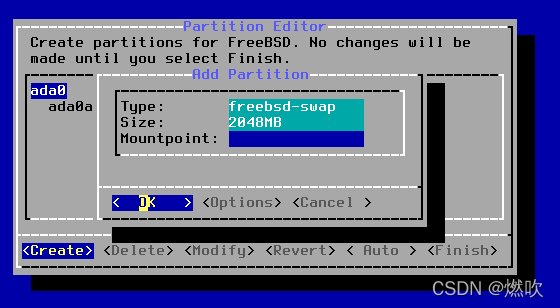 FreeBSD-交换分区