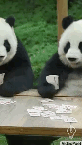 d44e1f3d5a7b5c27b93db04cd3d35827.gif