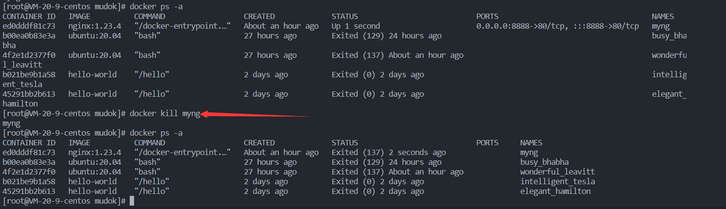 Docker 使用基础（3）—容器_docker --cpus