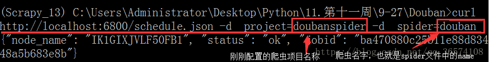 启动爬虫
