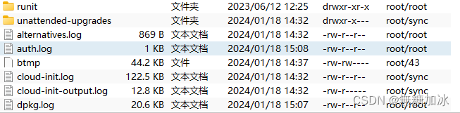 Debian找不到/var/log/auth.log文件_debian auth.log-CSDN博客
