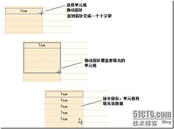 clip_p_w_picpath008
