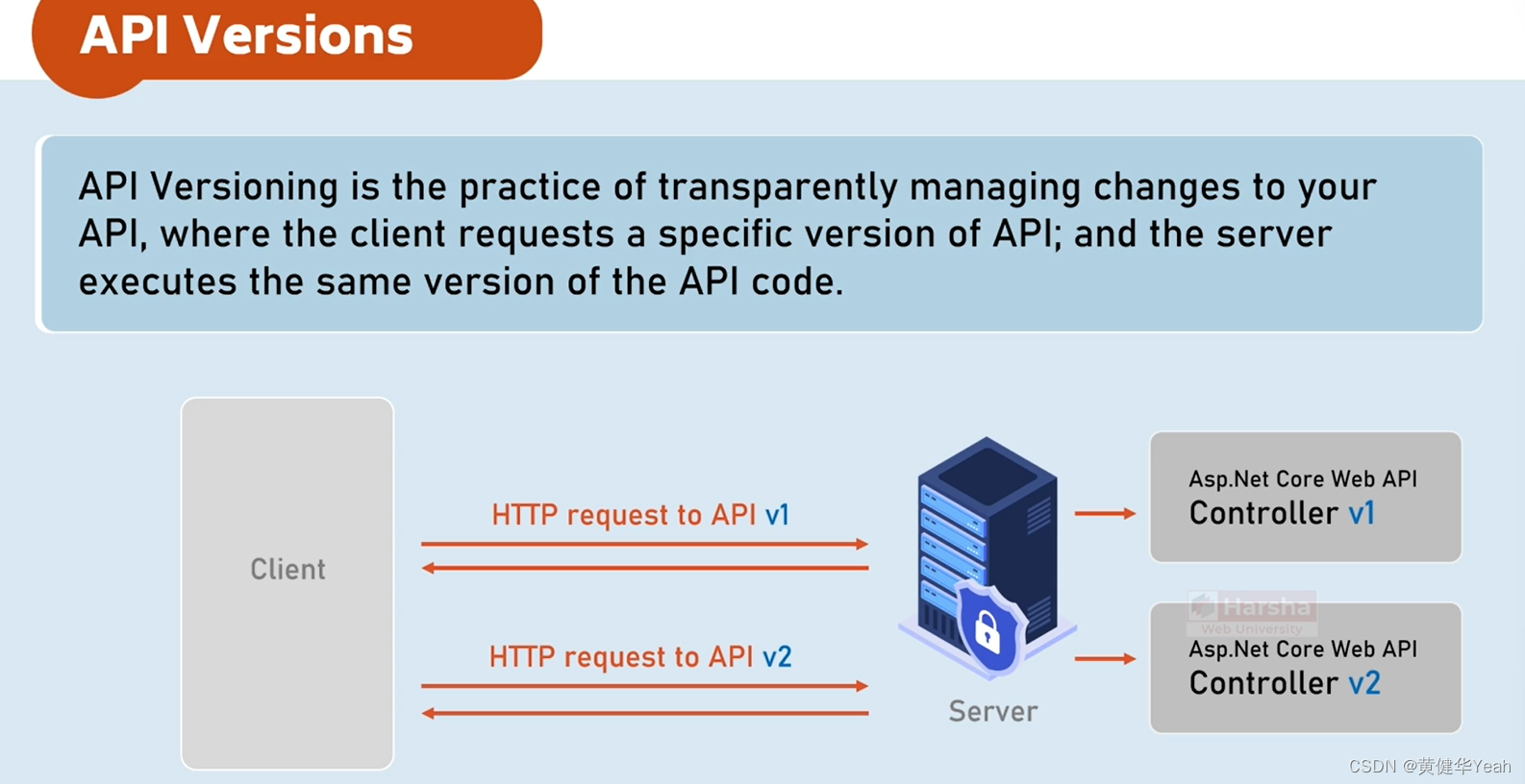 314 API Versions 01(UrlSegmentApiVersionReader)_apiversioningoptions ...