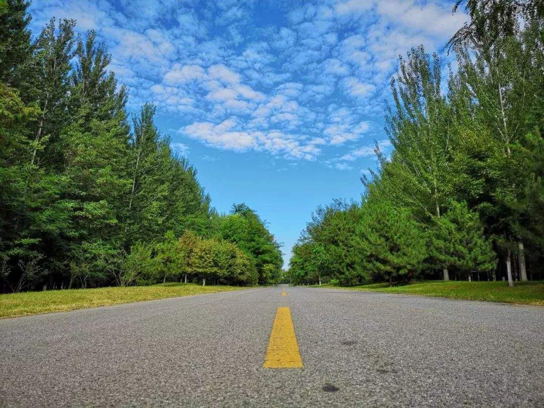 商业模式有哪些好书?有关商业模式方面的书籍推荐