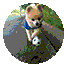 d8f9ff2273322fa798e37a1ae6ec7239.gif