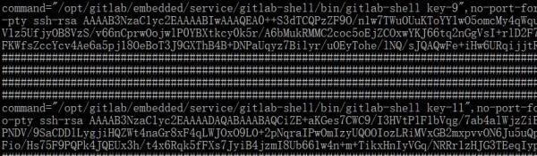 自定义构建交互式SSH应用程序，用Python为大家举例自定义构建交互式SSH应用程序，用Python为大家举例