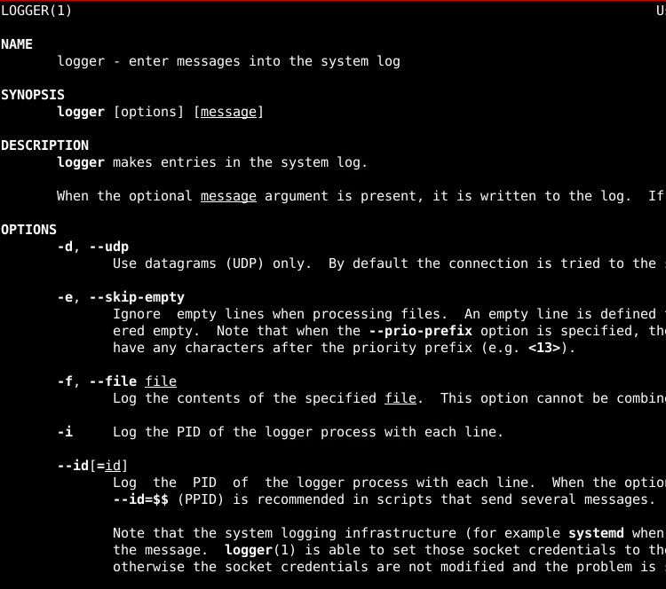 logger Command Man Page