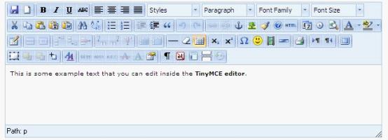 [转载]几种常用网页文本编辑器总结