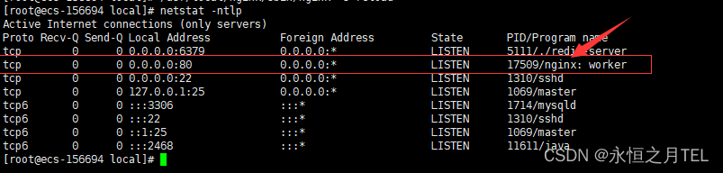 Linux服务器前后端项目部署vue+springboot—搭建服务器上的运行环境（JDK、Redis、MySQL、Nginx）