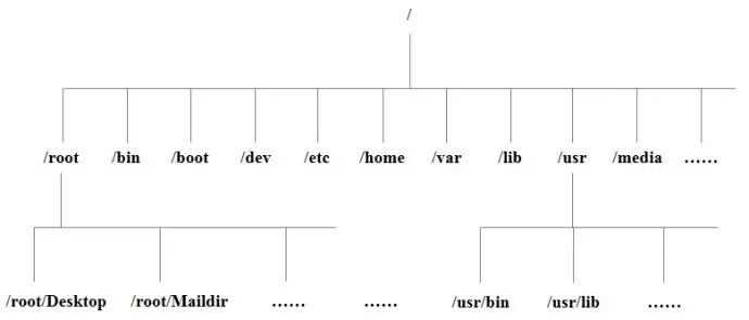 3110861-d5af4f2849b340b8.png