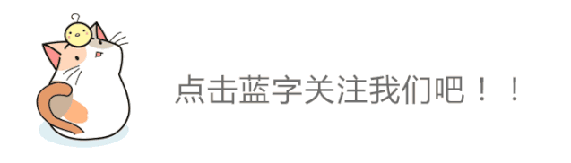 阅读原文 小猫 动图 640