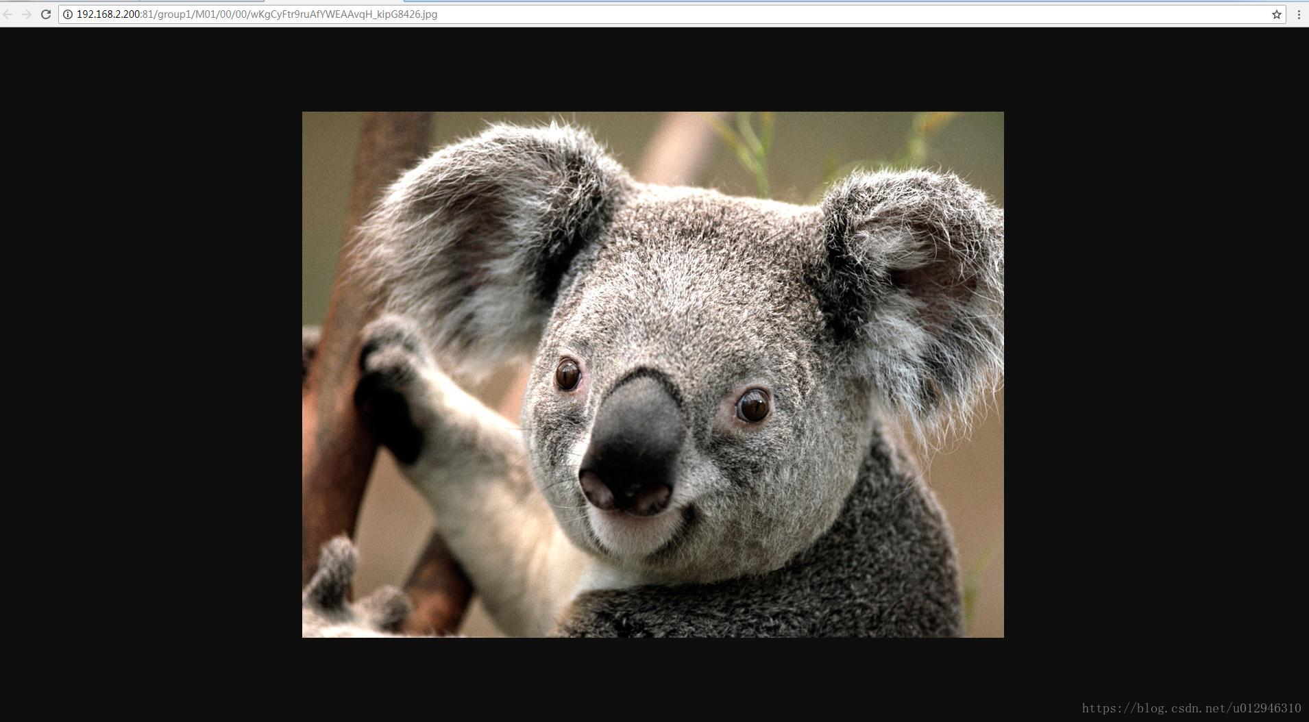 这里写图片描述