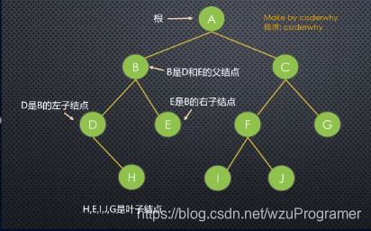 树的术语